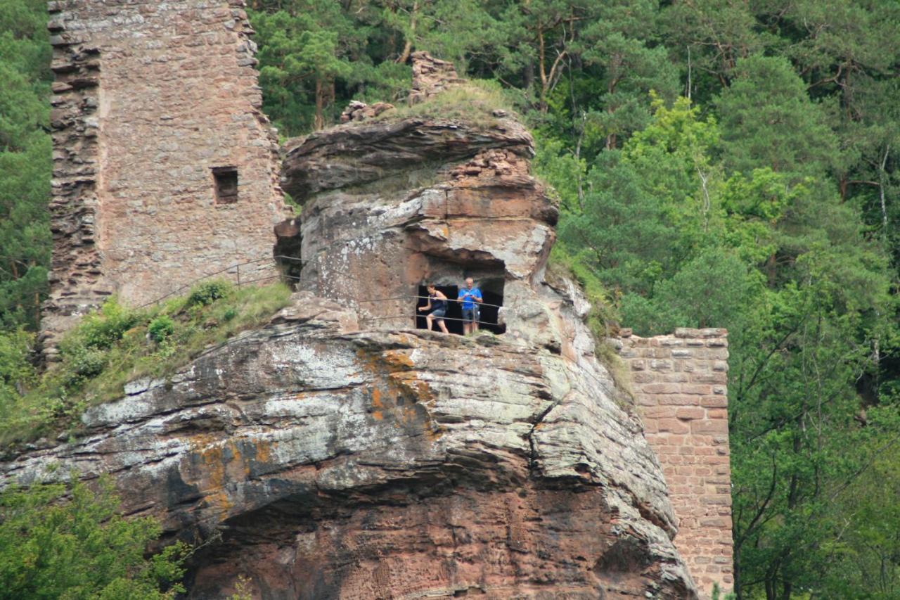 Chambre D'Hotes Petit Arnsbourg Obersteinbach Kültér fotó
