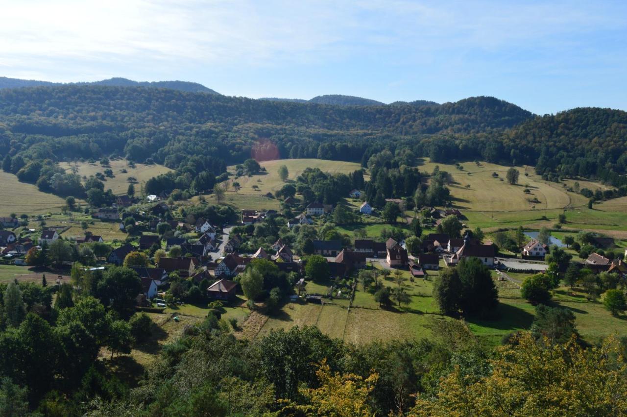 Chambre D'Hotes Petit Arnsbourg Obersteinbach Kültér fotó