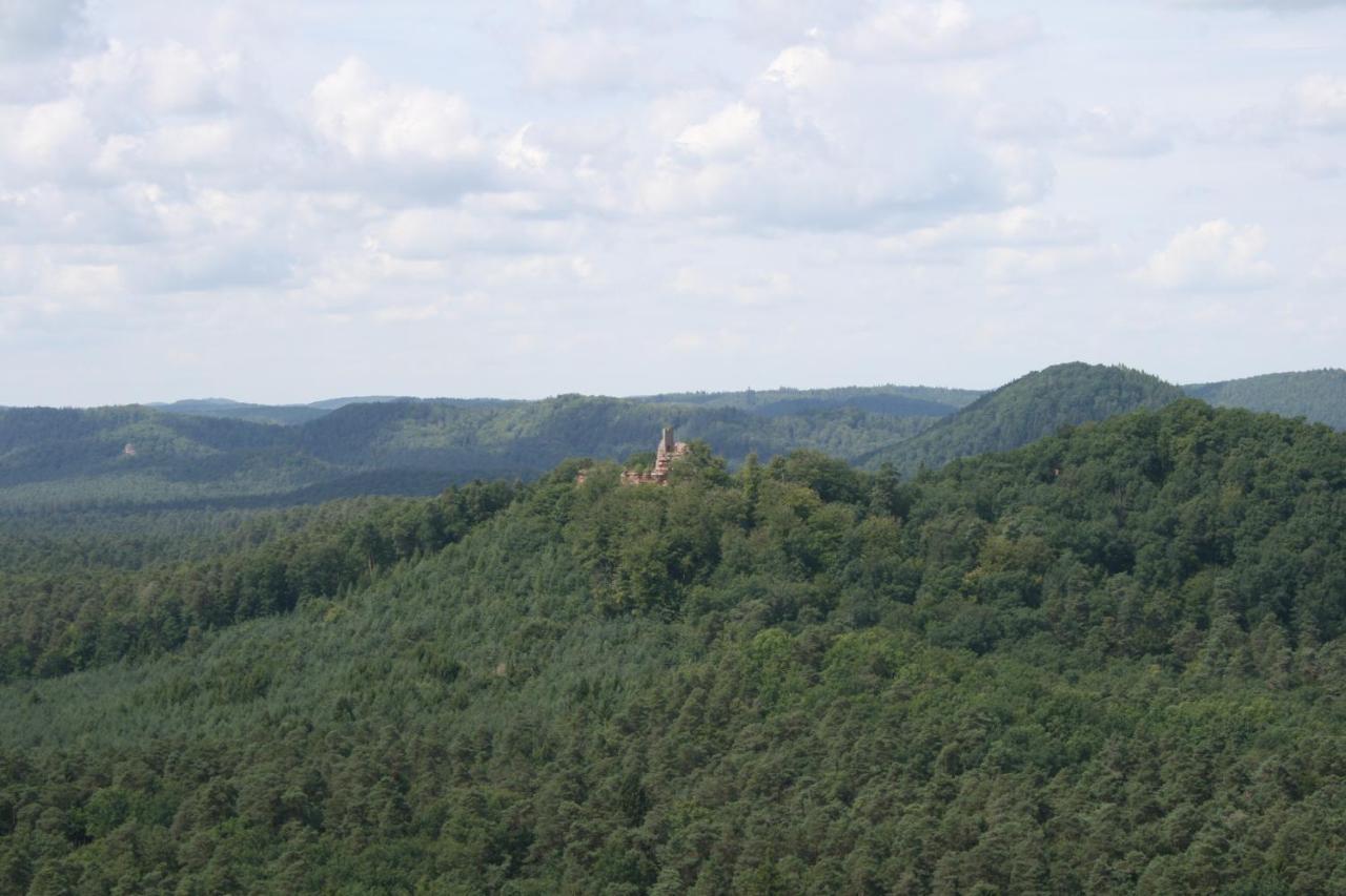 Chambre D'Hotes Petit Arnsbourg Obersteinbach Kültér fotó