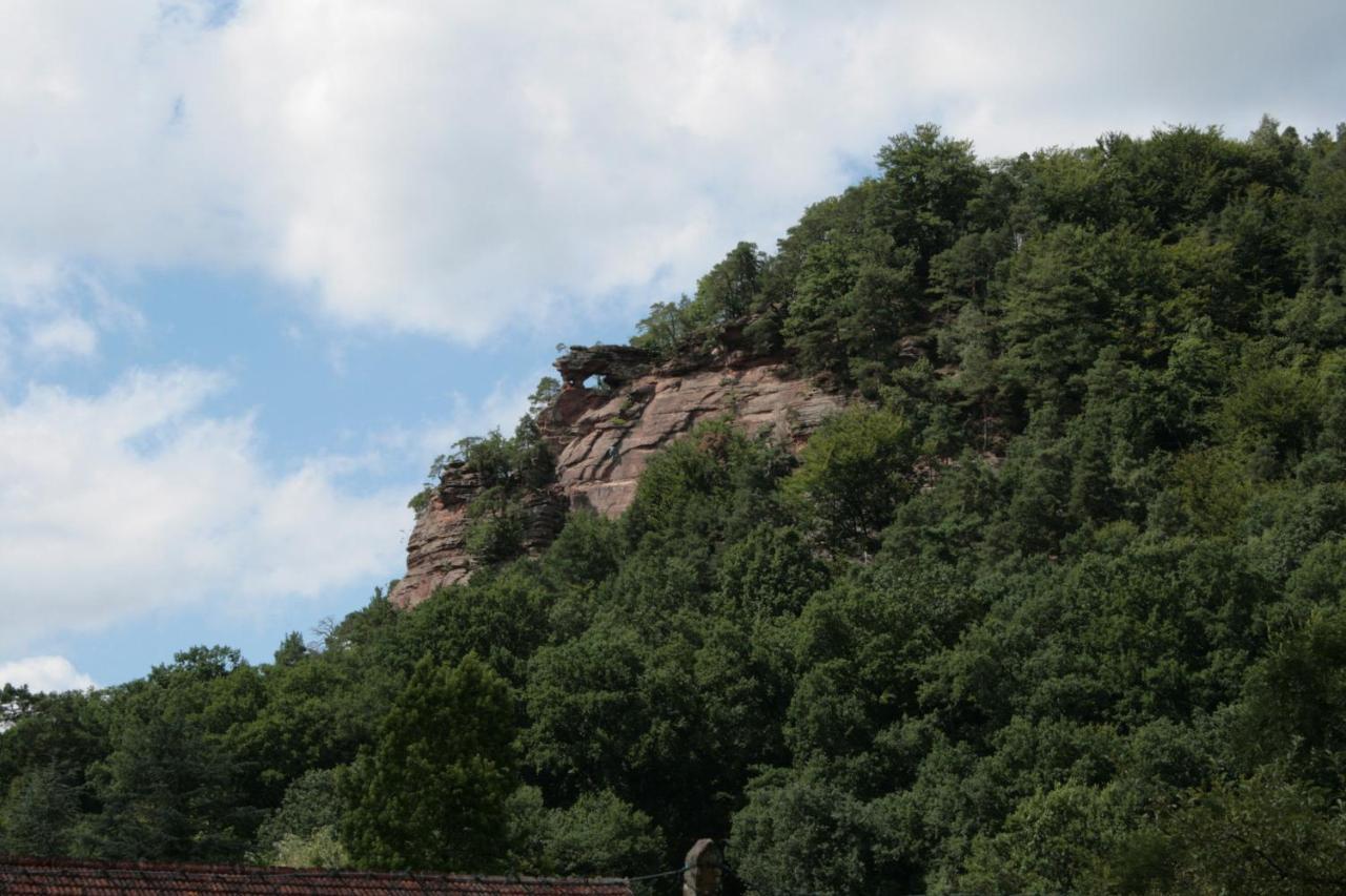 Chambre D'Hotes Petit Arnsbourg Obersteinbach Kültér fotó