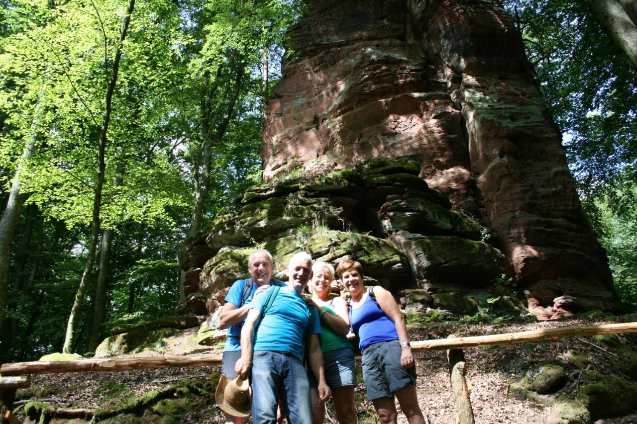 Chambre D'Hotes Petit Arnsbourg Obersteinbach Kültér fotó